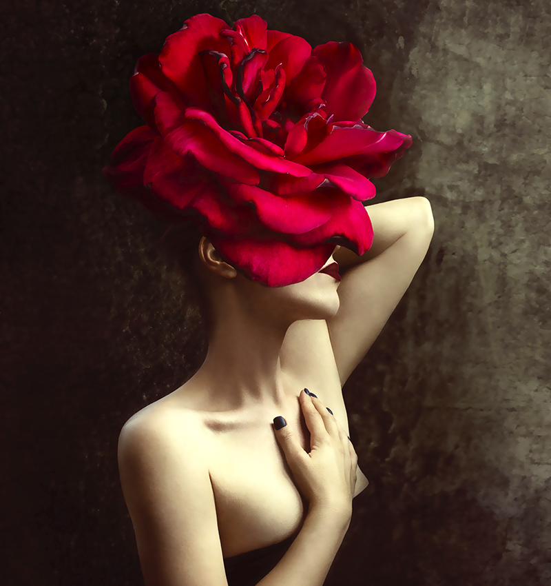 Google vriendelijk. Optimale zoekresultaten.